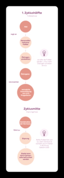 Clomifen Rezeptfrei Generika ohne Rezept