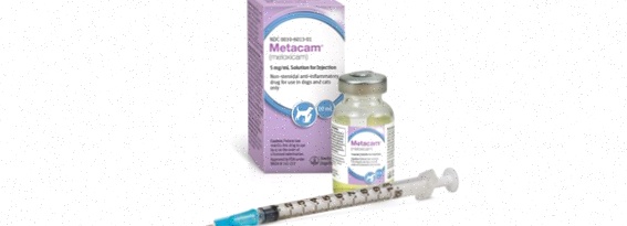 Meloxicam Kaufen online Generika